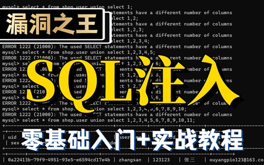 【网络安全】SQL注入零基础入门+实战教程，12集精简版！