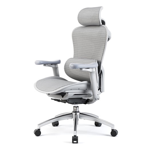 SIHOO Ergonomic Office Chair Doro C300 Computer Desk Chair High-Back Mesh Chair with 3D Linkage Armrests & 4-Position Adjustable Backrest for Wide Seat for Big and Tall-300lbs-White - Walmart.ca