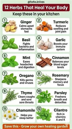 12 Herbs That Heal Your Body — Keep These In Your Kitchen