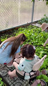 Cô chú ơi , Coi Mật Ong lắm trò chưa nè | Múi Xù