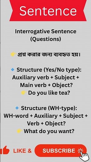 Interrogative Sentences in English | WH & Yes/No Questions Explained | Basic Grammar