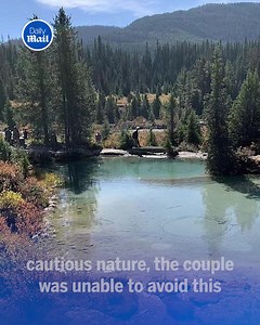 24K views · 391 reactions | This is so shocking  | Daily Mail Video | Facebook