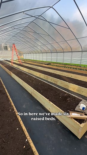 155 reactions · 44 comments | Full greenhouse tour!! #atlasgreenhouses #georgiagrown | Patrick Farms | Facebook
