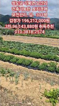 #CheongdoLandAuction #CheongdoGroundAuction #CheongdoFarmlandAuction #WeekendFarm #Playground #Re...