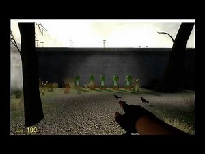 Real Death Row Execution Footage