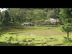 Watershed Community Nainital, Uttarakhand: Water Conservation uder UDWDP-I and SLEM Projects