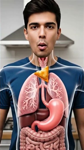 See how this flows in body | Human health anatomy #digestiveprocess