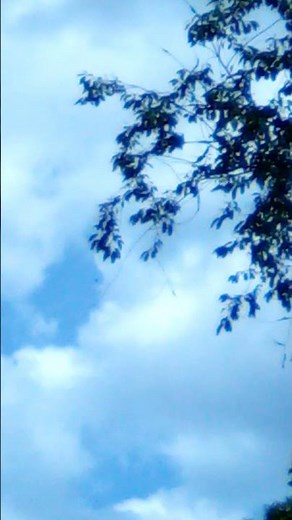 Low flying military plane C-130 fly over Connecticut 6/2/2021