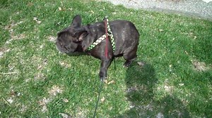 When you try to let out a silent fart in a crowded place but it ends up being seriously loud 😱 | Ridiculousness