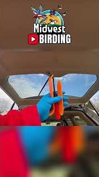 Fix Your Rear Wiper! Easy Car Repair Hacks You Need