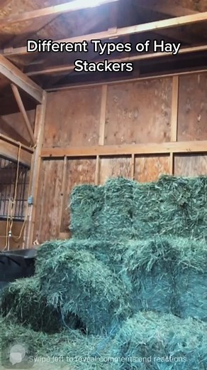 AnkeneyEquineTraining on TikTok