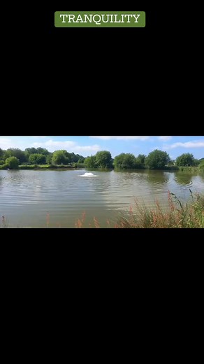 Our anglers tell us how peaceful and tranquil it is here at Cheshire Fisheries Tattenhall, particularly those anglers who enjoy an evening fish. Open daily from 8.00am - 7.30pm @top fans | Cheshire Fisheries Tattenhall