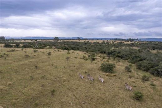 Vacant land / plot for sale in Bathurst - Bathurst - Property24