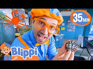 Blippi Visits an Aquarium! (Marine Life Centre) | BEST OF BLIPPI TOYS | Sea Animal Videos for Kids - Videos For Kids