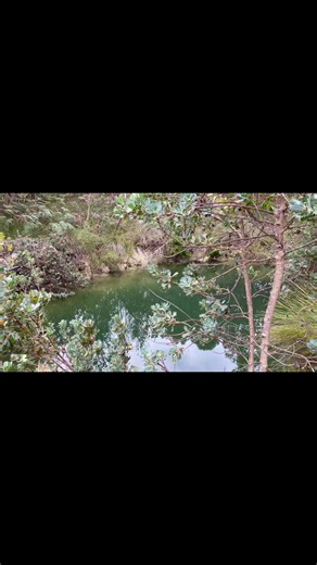 Explore everyday! So much to see!! #perth #perthhills #explore #explorepage #abandoned #cars #bush #bushman #trains #trainspotting #metronet