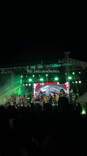 My two aesthetics pa 😛 #horsegirl #bandamachos #yearofthehorse @horsegiirLsteLLa @BANDA MACH OFICIAL