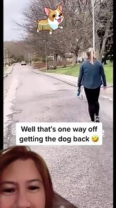 4.6M views · 173K reactions | Dog #run #pet #love #outdoors #OWNER #fyp #reelsviral | Bella Phil-Am | Facebook