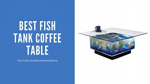 The 5 Best Fish Tank Coffee Tables Of 2024 [Tested & Reviewed]