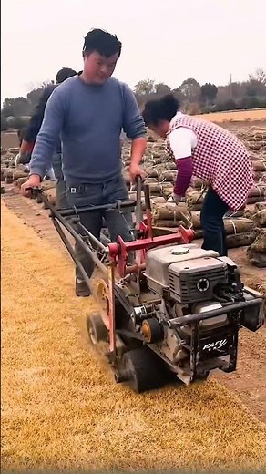 This Is NOT Green Carpet 😲 It’s Real Living Grass Sold in Rolls! 🌱🚜 #shorts