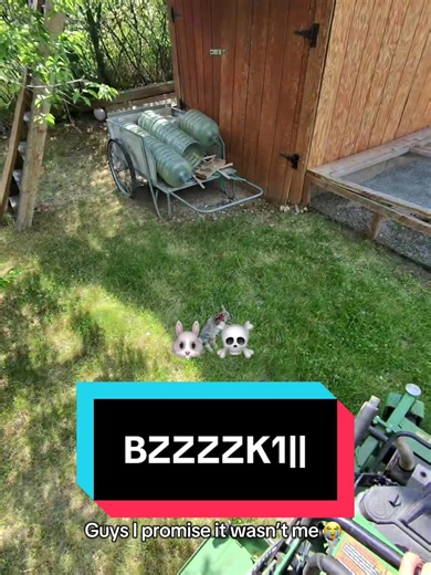 Tragic Lawn Mowing Incident Involving a Bunny