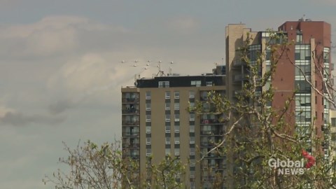 Snowbirds soar over Edmonton as part of Operation Inspiration