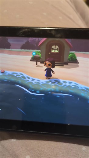 Not him! #bunnyday #acnh #zipper #dancemomsedit