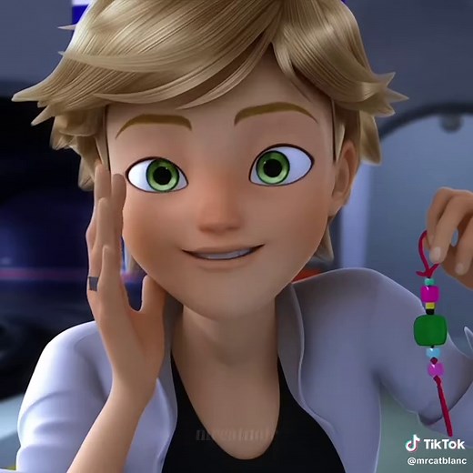 Miraculous Uğur Böceği ve Kara Kedi Editi