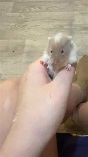 Vidéos de PØCÆ💔🎀 (@po_ca_) avec son original - PØCÆ💔🎀