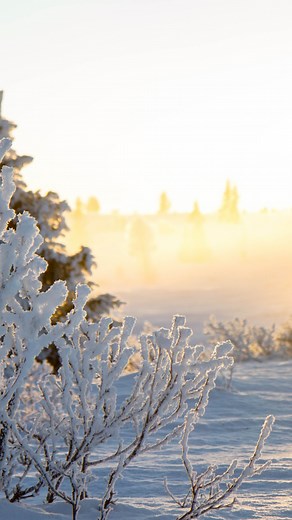 Glimt fra årets julegateåpning 🎄Gol leverer ekte julestemning 🌟 | Visit Gol