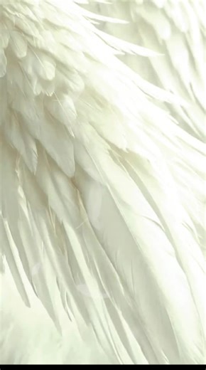 Emotional Tribute: Missing You