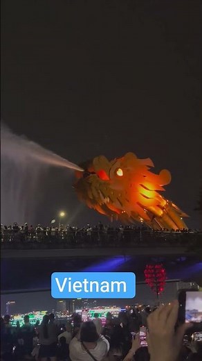 Vietnam Dragon Bridge