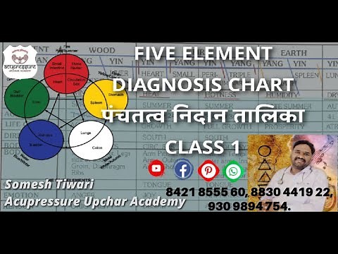Five Element | Diagnosis Chart Class 1 | Know Your Element | TCM- Traditional Chinese Medicine