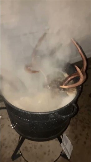 Making a European mount with a goat and a deer #mounts#shorts