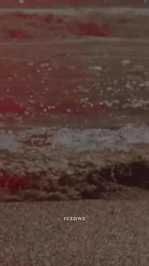 No Type - Rae Sremmurd: Exploring 'Bad Bitches' Concept in Music