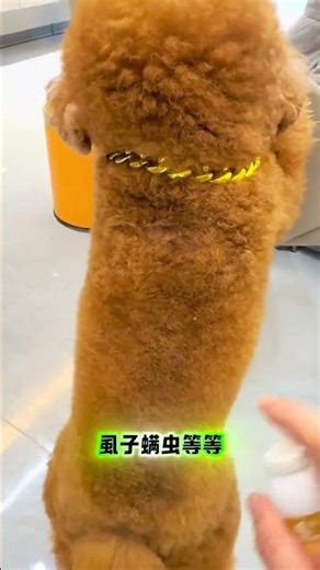 Fortunately, Maomao, I react quickly. Insect repellent spray