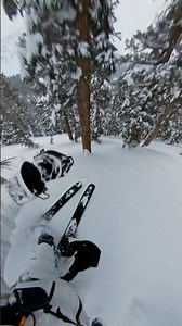 Tree weaving in deep powder - GoPro MAX2 POV