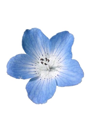 #fyp #oc #ocquestion #ocquestions #originalcharacter | questions