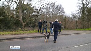 23K views · 166 reactions | The BBC suffered further disruption to its sports programming today as the organisation says it is working to resolve a row with presenter Gary Lineker, which has severely impacted transmissions | More: https://bit.ly/3Je26YP | RTÉ News | Facebook