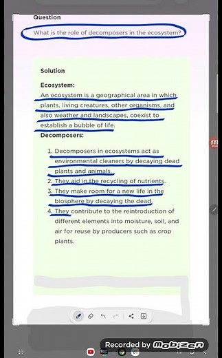 What is the role of decomposers in the ecosystem?