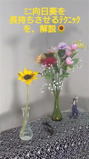 🌻「ﾐﾆ向日葵を、長持ちさせるﾃｸﾆｯｸを解説」#お花のある暮らし #お花のある生活 #お花 #花 #フラワー