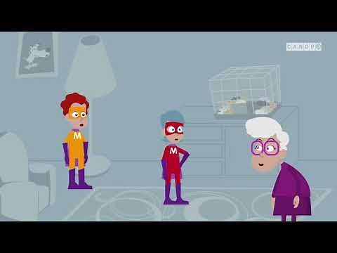 Opérations Le sens de la soustraction Niveau : Cycle 2