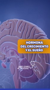 Hormona del Crecimiento: El Poder del Sueño Reparador - Jairo Gomez Tu Pediatra #pediatra #jairogomeztupediatra #niños #JairoGomezTuPediatra #hormonas #crecimiento #sueños #SueñoReparador #HormonaDelCrecimiento #SueñoReparador #CrecimientoHumano #SaludYBienestar #DormirBien #CrecimientoInfantil #CienciaYSalud #ImportanciaDelSueño | Jairo Gomez Tu Pediatra