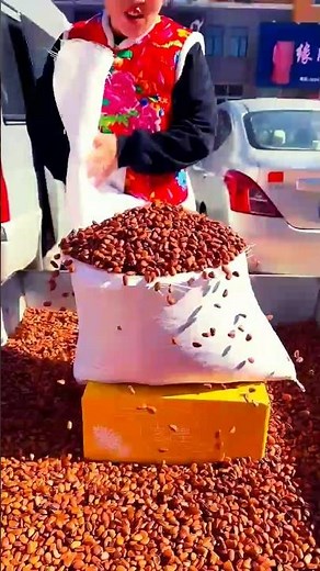 👉 Amazing Pistachio Processing – From Farm to Final Product | Pistachio Factory Process #pistachio