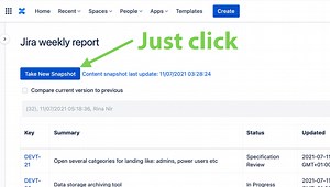 Snapshots of Jira Data into Confluence | Atlassian Marketplace