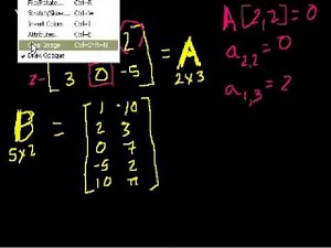 Introduction to matrices Video Lecture - Class 12