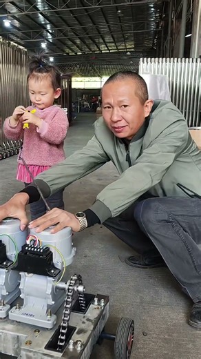 无轨双电机伸缩门Trackless double-motor telescopic gate