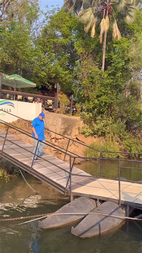 34 reactions · 4 comments | As I cruised down the Zambezi River near Livingstone, Zambia, I witnessed a majestic herd of elephants making their way across. The Zambezi River is a magnet for wildlife, particularly during the dry season, and it's one of Africa's four largest rivers. #zambeziriver #zambiatravel #elephants #traveladventures | Ulrich Oehmen | Facebook