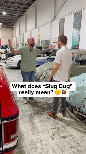 The Weird Slug Bug ‘Law’ You Never Heard Of 👊🐞