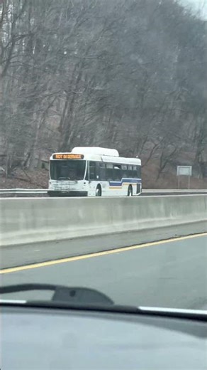 Bee-Line NABI buses driving by