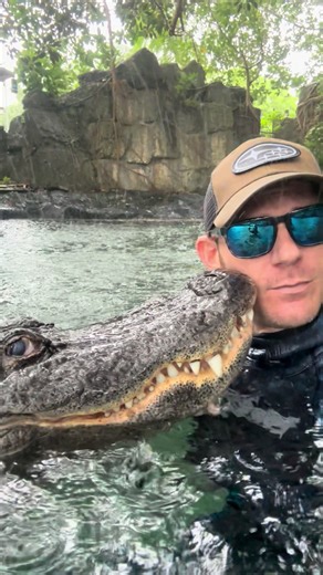 Why do I wear a wetsuit, does it protect me from gators?? Nope, not at all! I wear it because I film these videos after my tours, which means I’m usually in the water for at least five hours at a time, so I definitely get cold! But the water itself is not chilled in any way and it doesn’t affect gator behavior either. ~~~You can come swim with me and Casper! If you want to come join you can book online now, go to www.crocodilechris.com Let me know if you want to go! Observation and photos only a